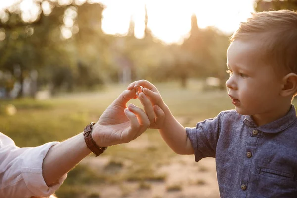 A picture of child taking food from parent\'s hand. He is looking at it. Kid is concentrated. Evening is coming.