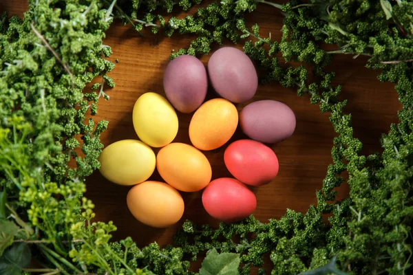 En hel del färgade ägg om på bordet omgiven av en grön växt närbild. — Stockfoto