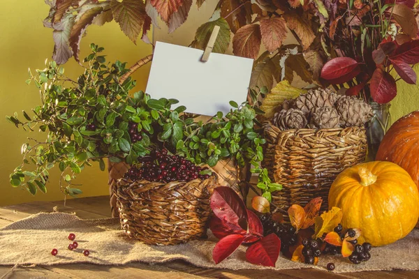 ahşap, talaş, günlükleri, ormansızlaşma, odun kesmek testere,