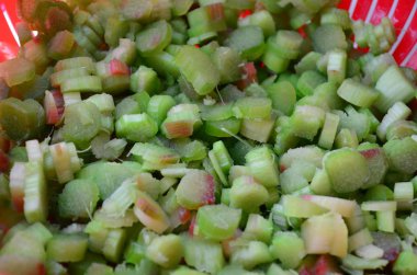 Ortanca Çiçek bahçesindeki güzel bush