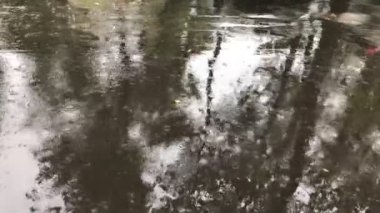 Yağmur damlaları ıslak asfalt üzerine düşmek, bir araba geçmişin, şiddetli yağmur sürücüler ve şehirde su birikintileri