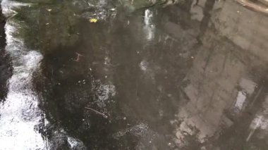 Yağmur damlaları ıslak asfalt üzerine düşmek, bir araba geçmişin, şiddetli yağmur sürücüler ve şehirde su birikintileri