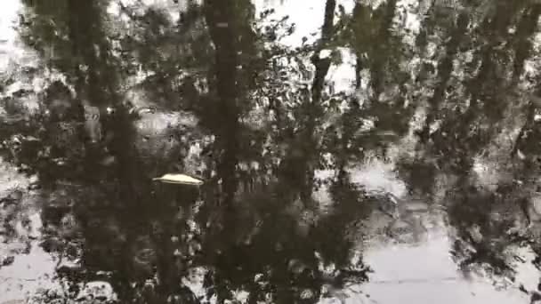 Raindrops Fall Wet Asphalt Car Drives Heavy Rain Puddles City — Stock Video