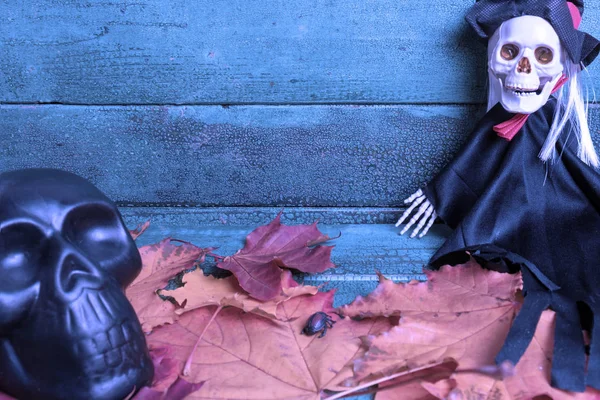 Σκελετός Μάγισσα Και Μαύρο Κρανίο Πάνω Από Φθινόπωρο Φύλλα Ξύλινα — Φωτογραφία Αρχείου