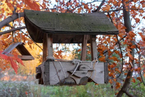 Antiguo Alimentador Aves Madera Parque Ciudad Otoño Árboles Otoño Fondo —  Fotos de Stock