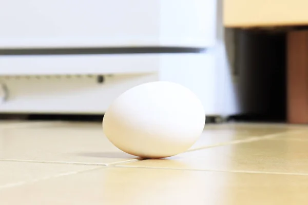 Άσπρη Κότα Αυγό Στο Πάτωμα — Φωτογραφία Αρχείου