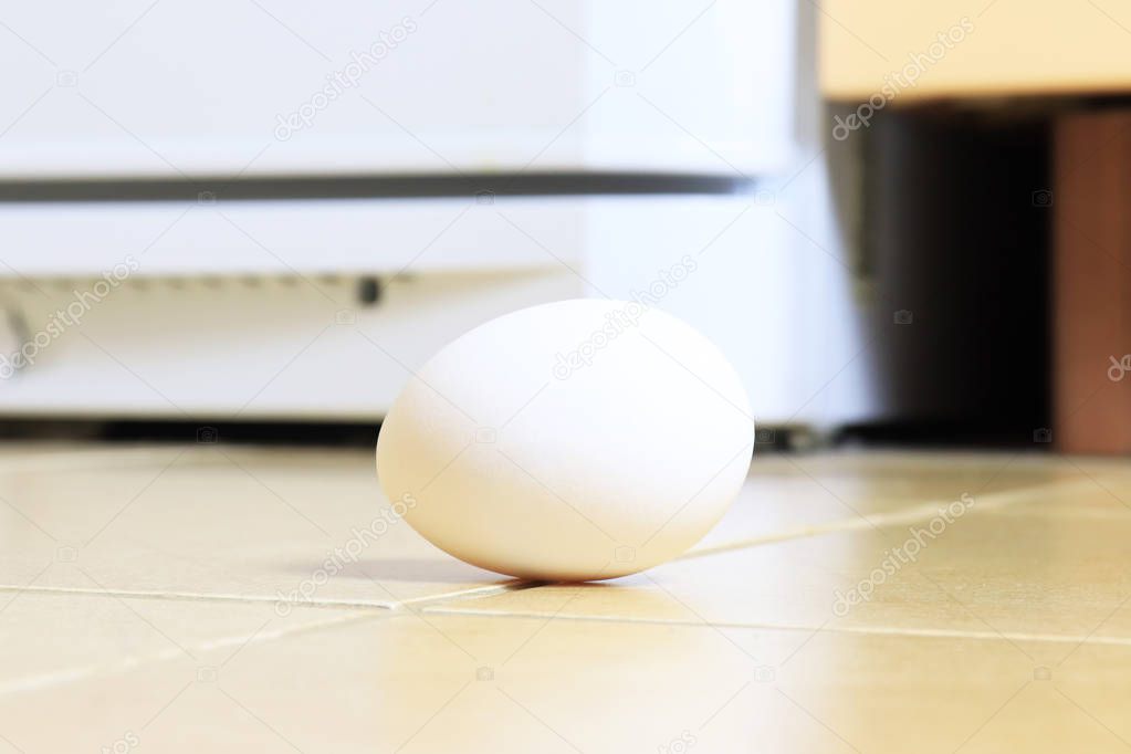 White chicken egg lying on the floor.