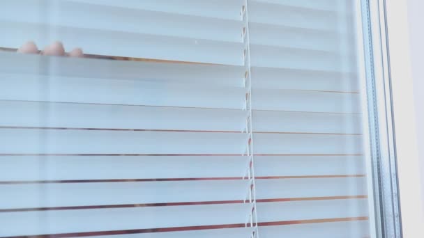 Young Woman Spying Peeking Blinds Her Home — Stock Video