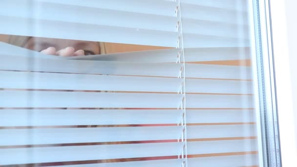 Young Woman Spying Peeking Blinds Her Home — Stock Video