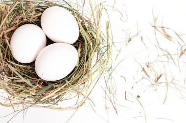 Taze beyaz tavuk yumurta beyaz masada saman yuvaya.