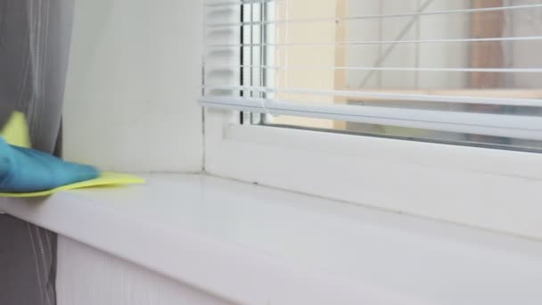 Rengöring tvätt fönsterbrädan med en dammvippa av en kvinnas hand i blått Gummihandske — Stockvideo