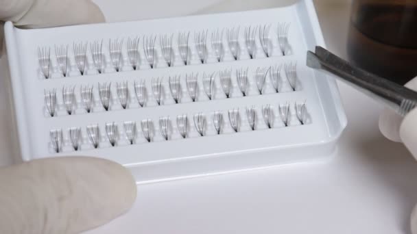 Eyelash extension procedure, cosmetologist in rubber gloves picking false eyelashes out of a pack with tweezers — Stock Video