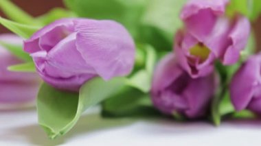 Biri bir buket bahar çiçek, Pembe Lale tablosundan alarak atış - 8 Mart, Sevgililer günü ya da anneler günü için hediye tatil kadar kapatın