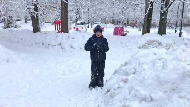 Niño Jugando Bolas Nieve Parque Invierno Nevado Concepto Infancia Ocio — Vídeos de Stock