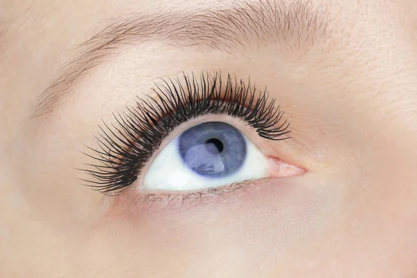 Procedimiento de extensión de pestañas: ojo azul de moda de mujer con pestañas largas y falsas de cerca macro, belleza, maquillaje y concepto de rostro — Foto de Stock