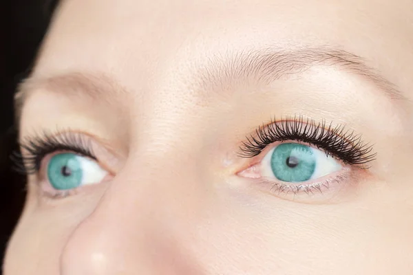 Procedimiento de extensión de pestañas: ojos de moda de mujer con pestañas largas y falsas de cerca, belleza, maquillaje y concepto de rostro — Foto de Stock