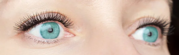 Procedimiento de extensión de pestañas: ojos verdes de moda de mujer con pestañas largas y falsas de cerca, belleza, maquillaje y concepto de rostro — Foto de Stock
