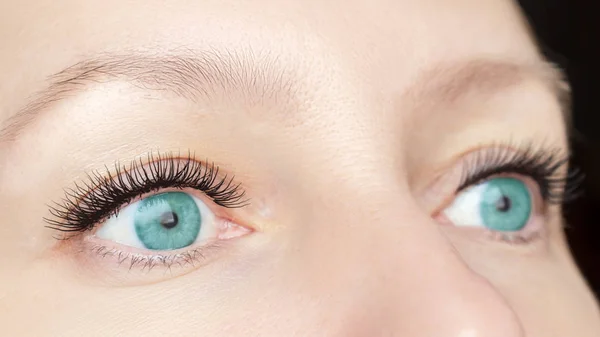 Procedimiento de extensión de pestañas: ojos de moda de mujer con pestañas largas y falsas de cerca, belleza, maquillaje y concepto de rostro — Foto de Stock