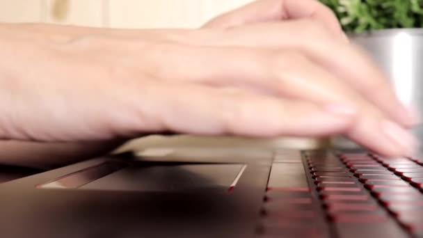 Mujer manos de mujer desplazándose toucpad y escribiendo en el teclado de la computadora portátil, ninguna cara mujer sentada junto a la mesa freelancing trabajo en casa, escribe comentarios post en las redes sociales — Vídeo de stock