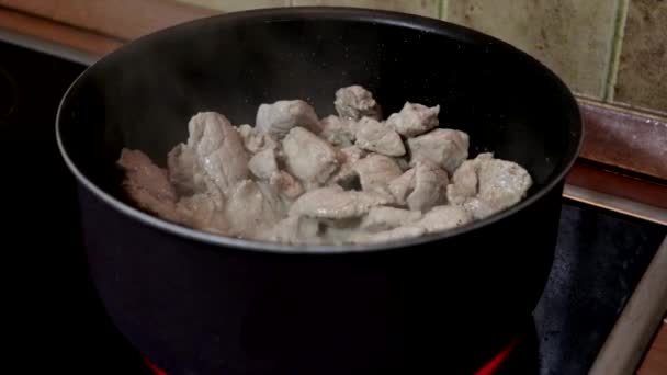 Nasekané maso smažení v pánev na elektrické varné desce, pára se blíží — Stock video