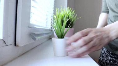 Kadın bir pencere eşik üzerinde çiçek tencere dekoratif yeşil bitkiler koyarak, bitkiler için bakım ve konfor oluşturma