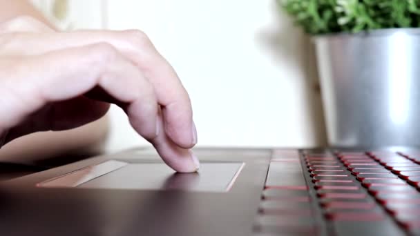 Mujer manos de mujer desplazándose toucpad y escribiendo en el teclado de la computadora portátil, ninguna cara mujer sentada junto a la mesa freelancing trabajo en casa, escribe comentarios post en las redes sociales — Vídeos de Stock