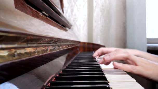 Mani di donna caucasica suonare il pianoforte, da vicino, vista laterale — Video Stock