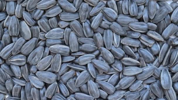 Preto torrado sementes de girassol rotação textura fundo — Vídeo de Stock
