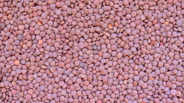 Lentilhas marrons fundo textura rotação, fonte de proteína vegetal para vegetarianos e veganos — Vídeo de Stock