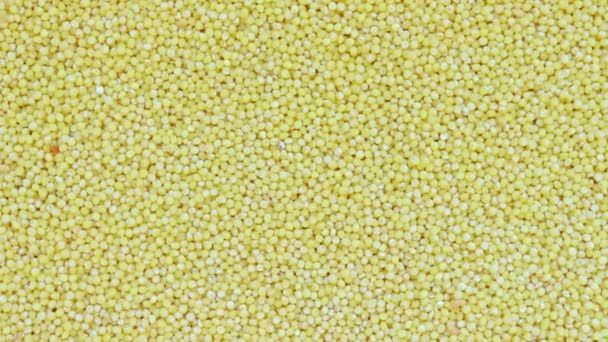 Polished yellow millet rotation texture background - traditional food — Stock Video