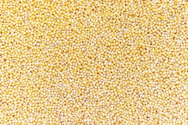 Cilalı sarı darı doku arka plan - geleneksel gıda
