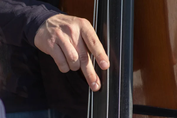 Contrabajo doble, manos tocando y plunk cuerdas de contrabajo, instrumentista musical de cerca — Foto de Stock