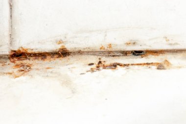 Küf mantarı ve pas, küf eklemlerinde, nemli, kötü havalandırılmış banyoda, yüksek nem, nem, nem ve rutubet problemi olan banyo alanlarında büyüyor.