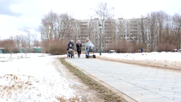 Moskova, Rusya - 21 Mart 2019: Kış parkında yürüyenler, tekerlekli sandalyede engelli ler ve bebek arabası olan kadınlar ve şehirde hafta sonu etkinlikleri — Stok video