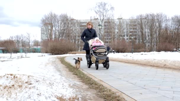 Moscú, Rusia - 21 de marzo de 2019: Gente paseando en el parque de invierno, mujer con un cochecito y un perro, actividades de fin de semana en la ciudad — Vídeos de Stock