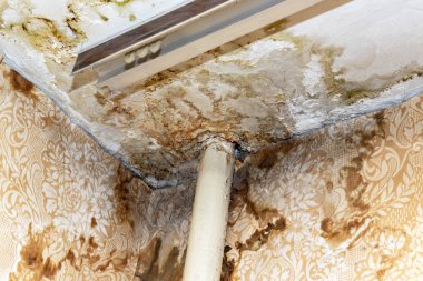 Hasarlı çatı yüzünden tavandaki yağmur suyu sızıntısı çürümeye, boyaya ve küflenmeye neden olur.