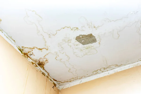 Water leak on white ceiling, insurance accident because of neglect disorderly careless neighbours — Stock Photo, Image