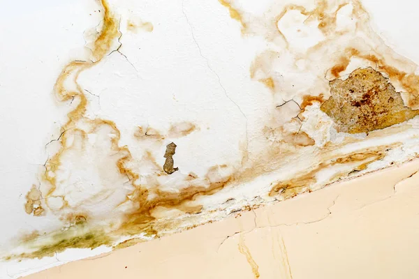 Rain water leaks on the ceiling because of damaged roof causing decay, peeling paint and moldy — Stock Photo, Image