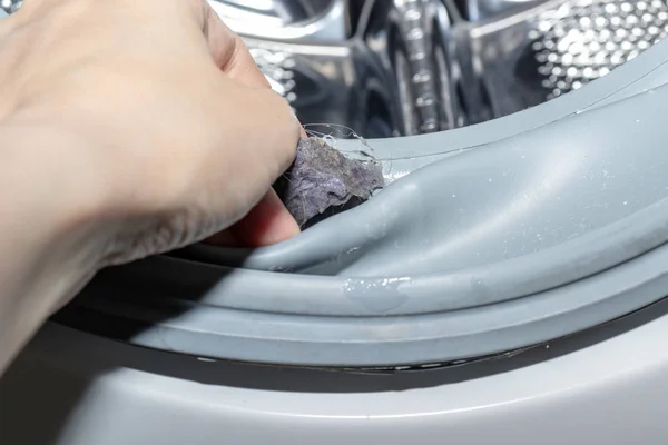 Hand picking dirt from moldy washing machine sealing rubber and drum close up. Mold, dirt and limescale in washing machine. Home appliances periodic maintenance — Stock Photo, Image