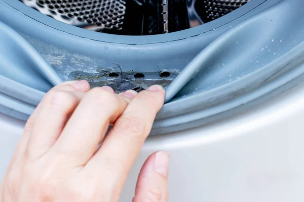 Dirty moldy washing machine sealing rubber and drum close up. Mold, dirt and limescale in washing machine. Home appliances periodic maintenance — Stock Photo, Image