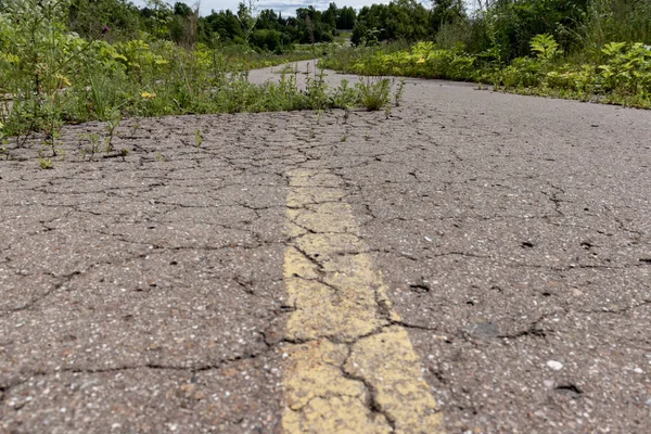 Old cracked road asphalt with yellow solid line, grunge marking on abandoned overgrown road — Stock Photo, Image