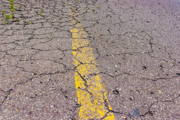 Old cracked road asphalt with yellow solid line, grunge marking on abandoned overgrown road — Stock Photo, Image