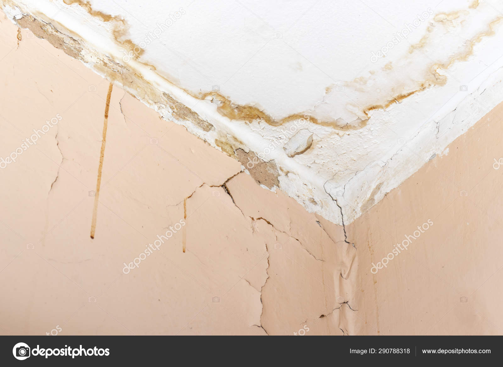 Water Leak On White Ceiling Insurance Accident Because Of