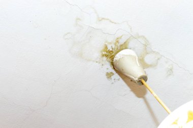 Beyaz tavana su sızıntısı, ihmal nedeniyle sigorta kazası düzensiz dikkatsiz komşular