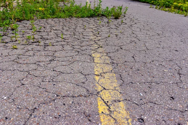 Old cracked road asphalt with yellow solid line, grunge marking on abandoned overgrown road