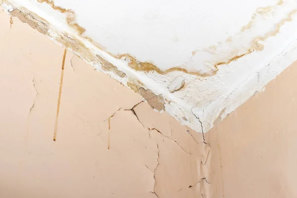 Water leak on white ceiling, insurance accident because of neglect disorderly careless neighbours