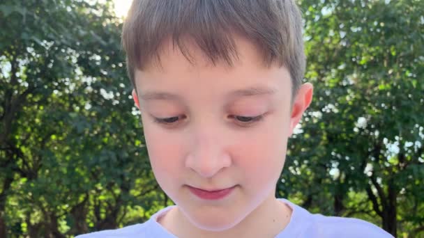 Een jonge Preteen Kaukasische jongen zittend in zomer stadspark en vegen zijn muis, lippen met papieren servet, handdoek na het eten, close-up, take-away fastfood concept — Stockvideo