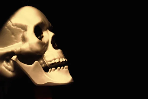 Calavera esqueleto dorado sonriente espeluznante primer plano sobre fondo negro con espacio de copia, la muerte y el concepto de misterio, halloween —  Fotos de Stock