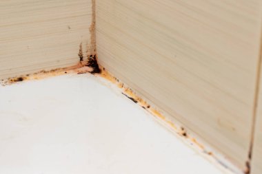 Küf mantarı ve pas, küf eklemlerinde, nemli, kötü havalandırılmış banyoda, yüksek nem, nem, nem ve rutubet problemi olan banyo alanlarında büyüyor.