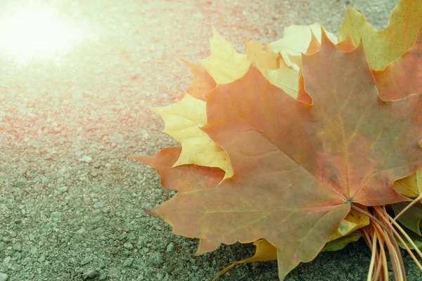 Marrom e amarelo outono folhas murchas em um fundo de pedra cinzento esmagado com espaço de cópia, melancolia e conceito de depressão — Fotografia de Stock